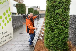 Loftpark-Andernach-die-Weihnachtsbeleuchtung-wird-angebracht